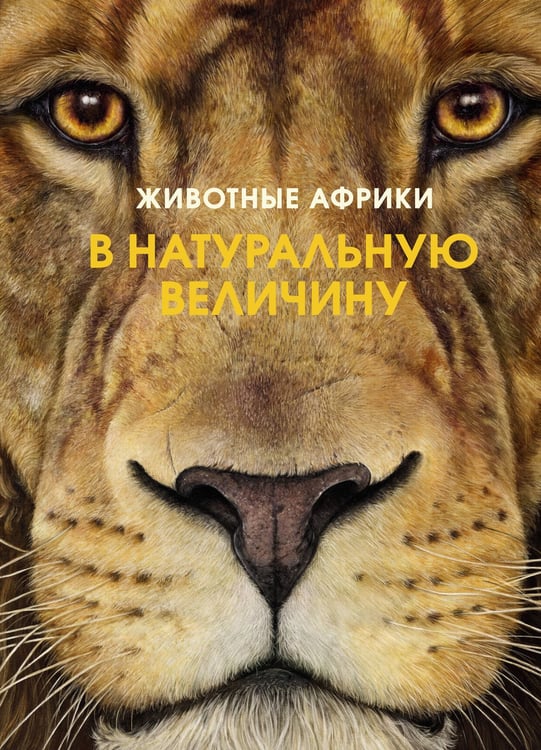 Обложка книги «Животные Африки в натуральную величину» — Хааг Хольгер, ISBN 9785389208148