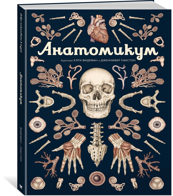 Дополнительное изображение книги «Анатомикум»