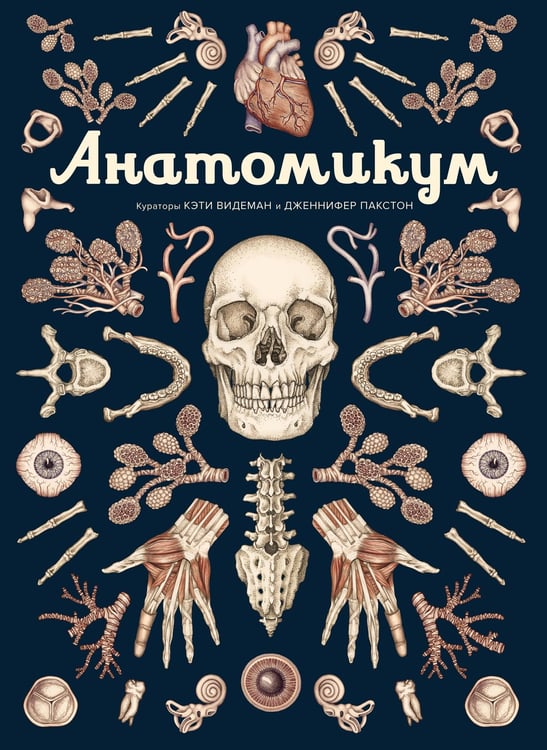 Обложка книги «Анатомикум» — Пакстон Дженнифер, ISBN 9785389165120