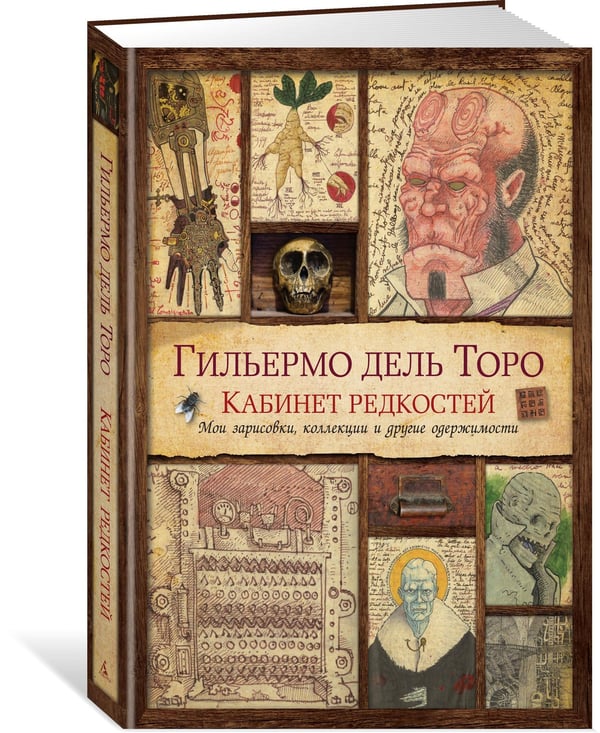 Дополнительное изображение книги «Кабинет редкостей. Мои зарисовки, коллекции и другие одержимости»