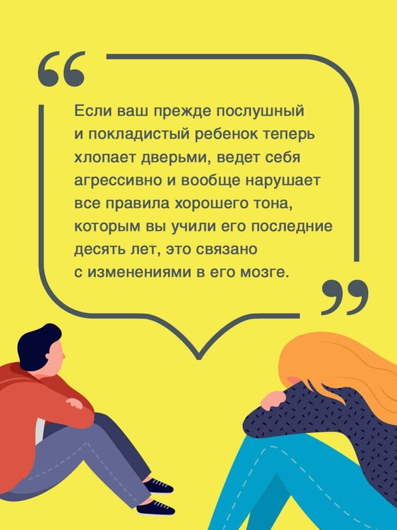 Дополнительное изображение книги «Вытащи подростка из комнаты. Методики взаимодействия с маленькими взрослыми»