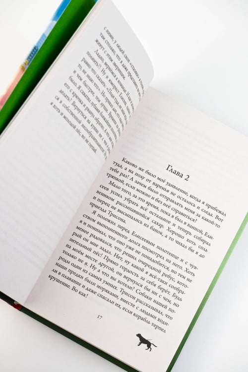 Дополнительное изображение книги «Трисон и Марсель берут дело в свои лапы»