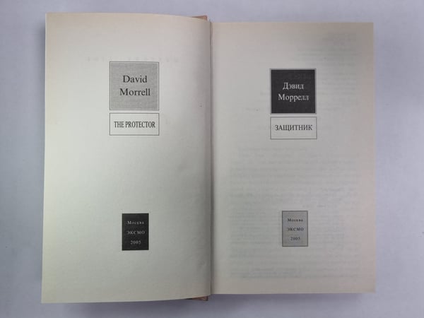 Дополнительное изображение книги «Защитник»