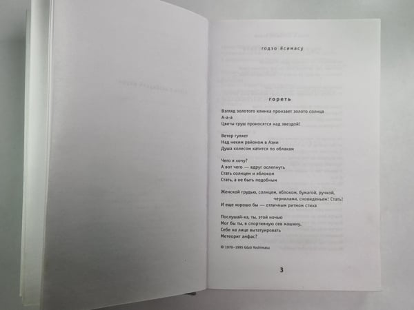 Дополнительное изображение книги «Странный ветер. Современная японская поэзия»