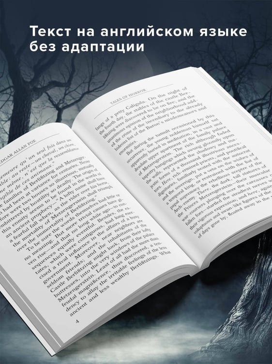 Дополнительное изображение книги «Tales of Horror = Жуткие истории»