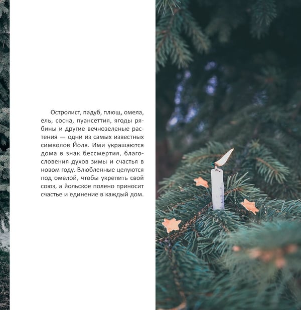 Дополнительное изображение книги «Желудь, рог и яблоко: путеводитель в мир зеленого колдовства»