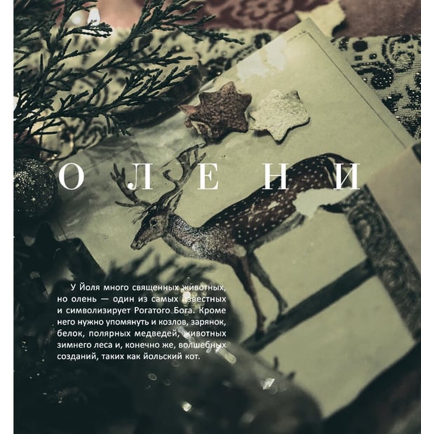 Дополнительное изображение книги «Желудь, рог и яблоко: путеводитель в мир зеленого колдовства»