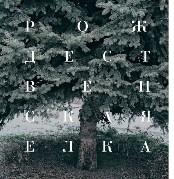 Дополнительное изображение книги «Желудь, рог и яблоко: путеводитель в мир зеленого колдовства»