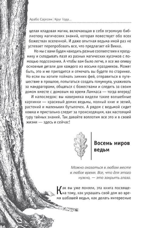 Дополнительное изображение книги «Круг Года: викканские праздники, их атрибуты и значение»
