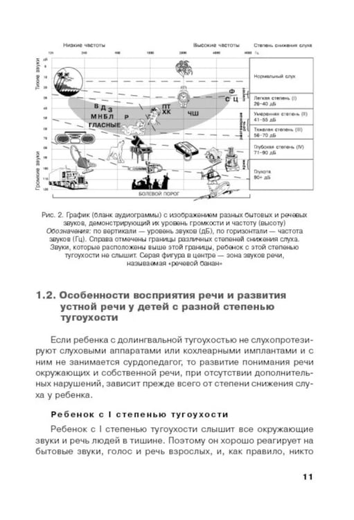 Дополнительное изображение книги «Дети с нарушением слуха в условиях инклюзии: Монография. 2-е изд., испр. и доп»