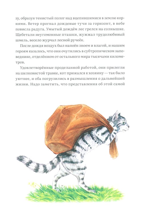 Дополнительное изображение книги «Кот в сапогах и маркиз де Карабас»