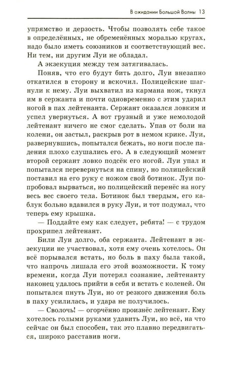 Дополнительное изображение книги «В ожидании Большой волны»