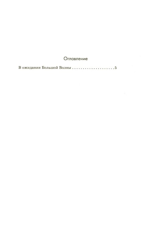 Дополнительное изображение книги «В ожидании Большой волны»