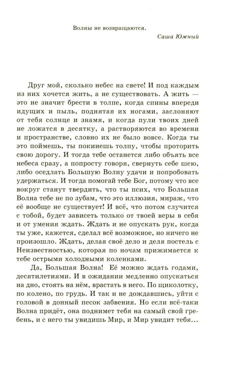 Дополнительное изображение книги «В ожидании Большой волны»