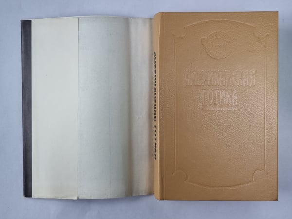 Дополнительное изображение книги «Дом в онге. Ведьма. Американская готика»