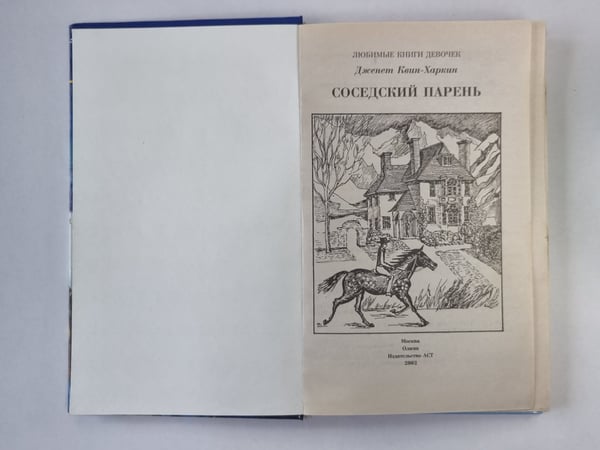 Дополнительное изображение книги «Соседский парень»