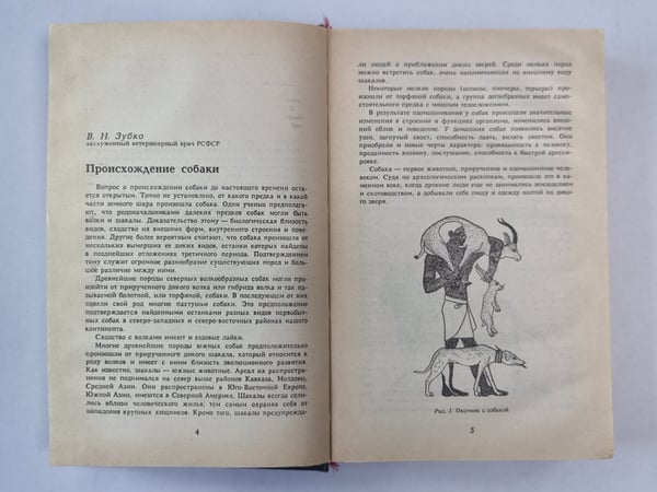 Дополнительное изображение книги «Всё о собаке. Сборник»
