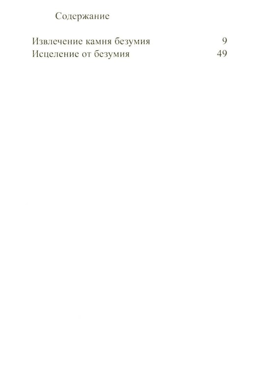 Дополнительное изображение книги «Камень безумия»