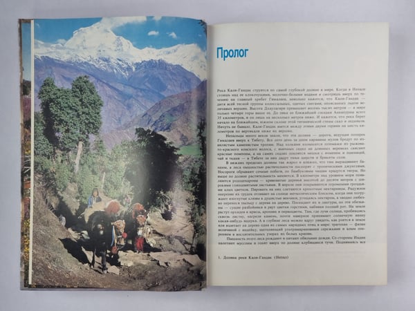 Дополнительное изображение книги «Живая планета»