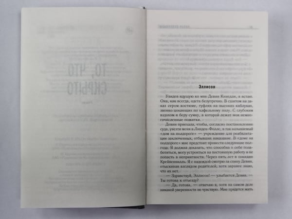 Дополнительное изображение книги «То, что скрыто»