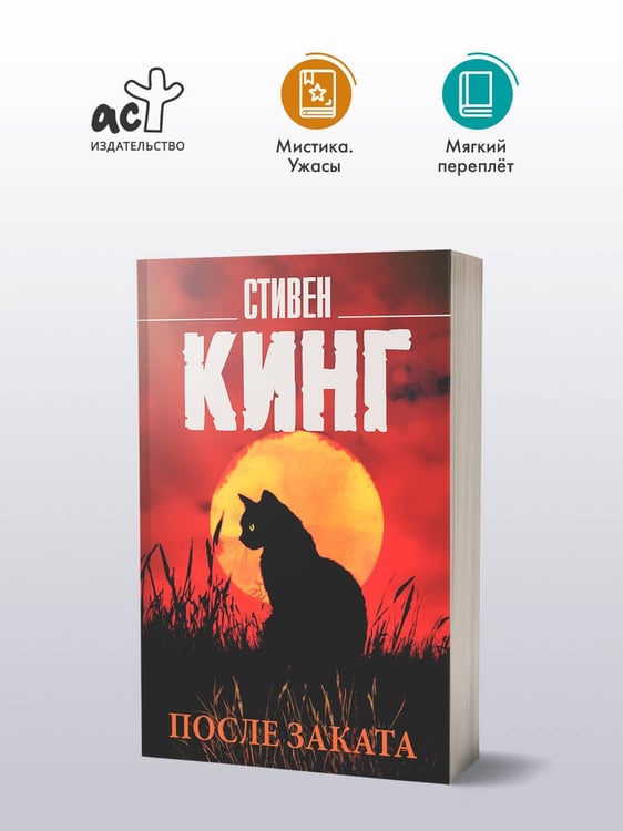Дополнительное изображение книги «После заката»