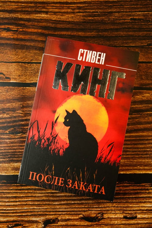 Дополнительное изображение книги «После заката»