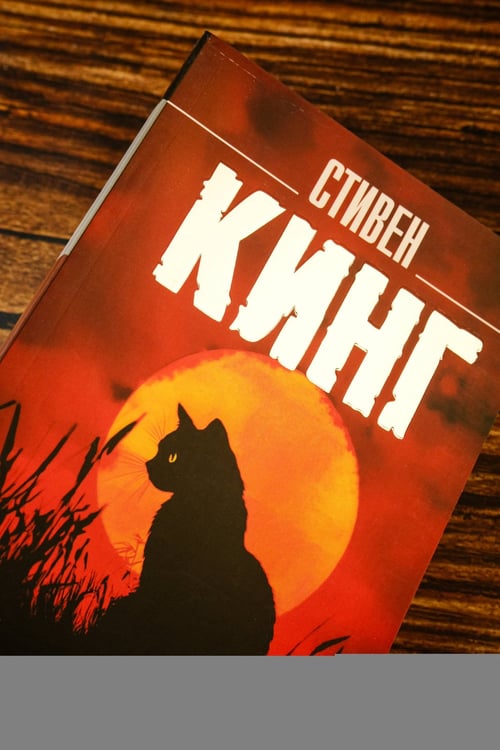 Дополнительное изображение книги «После заката»