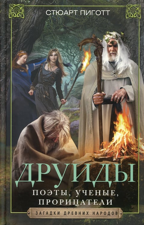 Дополнительное изображение книги «Друиды. Поэты, ученые, прорицатели»