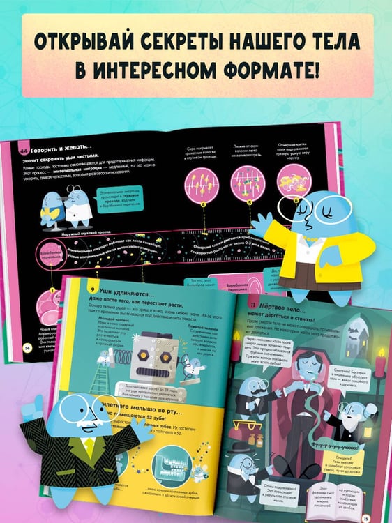 Дополнительное изображение книги «100 любопытных почему о теле человека»