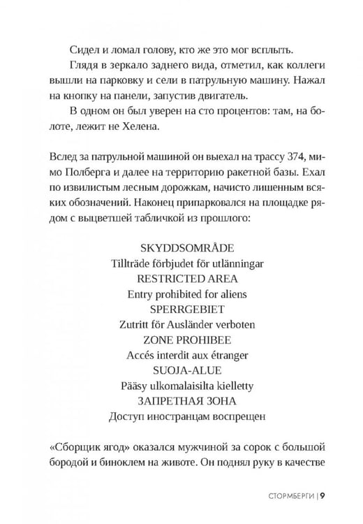 Дополнительное изображение книги «Стормберги»