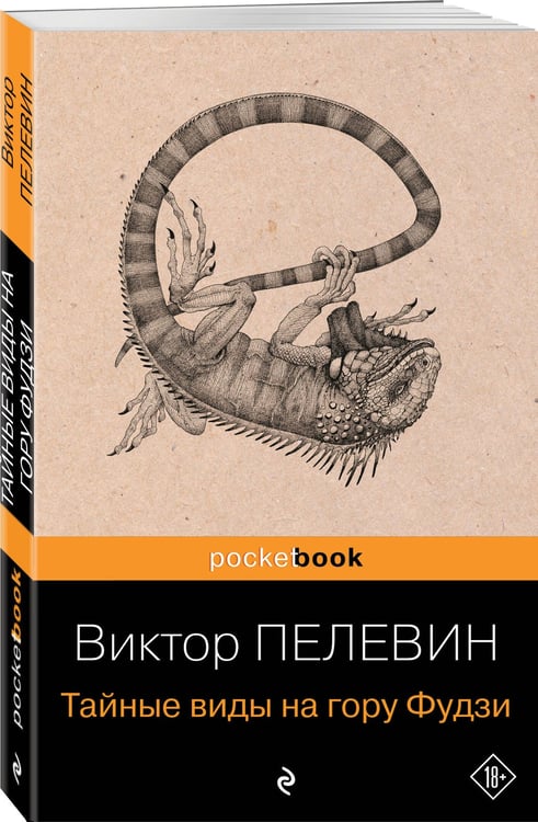 Дополнительное изображение книги «Тайные виды на гору Фудзи»