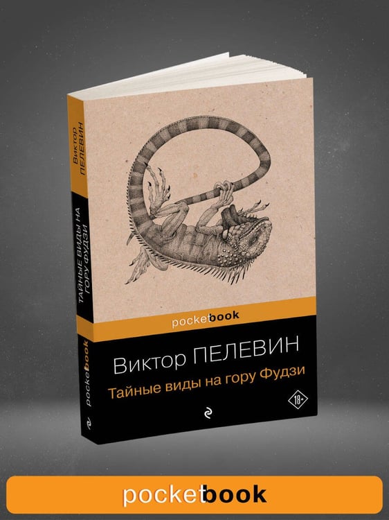 Дополнительное изображение книги «Тайные виды на гору Фудзи»
