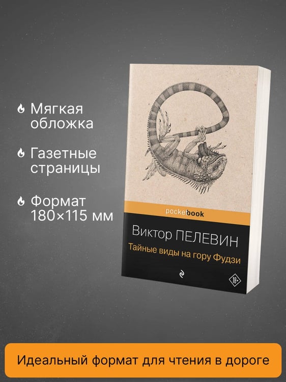 Дополнительное изображение книги «Тайные виды на гору Фудзи»