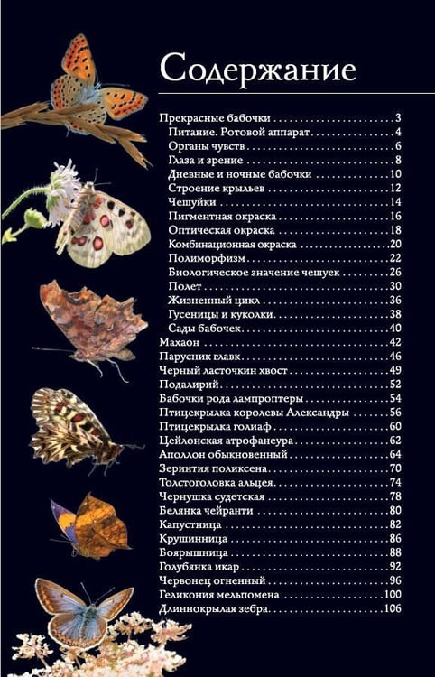 Дополнительное изображение книги «Бабочки. Иллюстрированный гид»