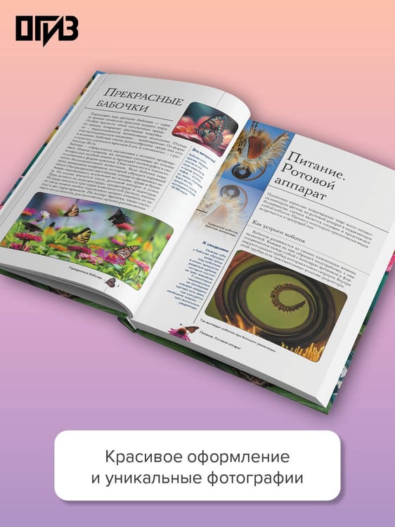 Дополнительное изображение книги «Бабочки. Иллюстрированный гид»