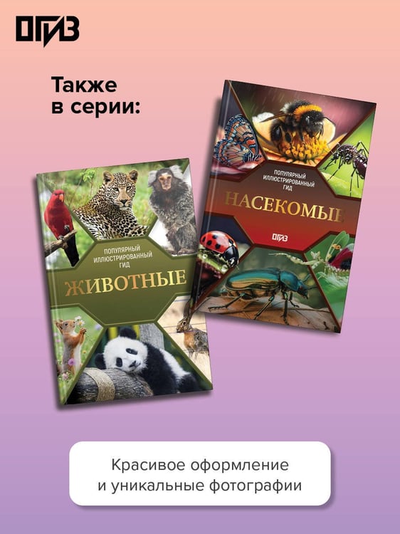 Дополнительное изображение книги «Бабочки. Иллюстрированный гид»