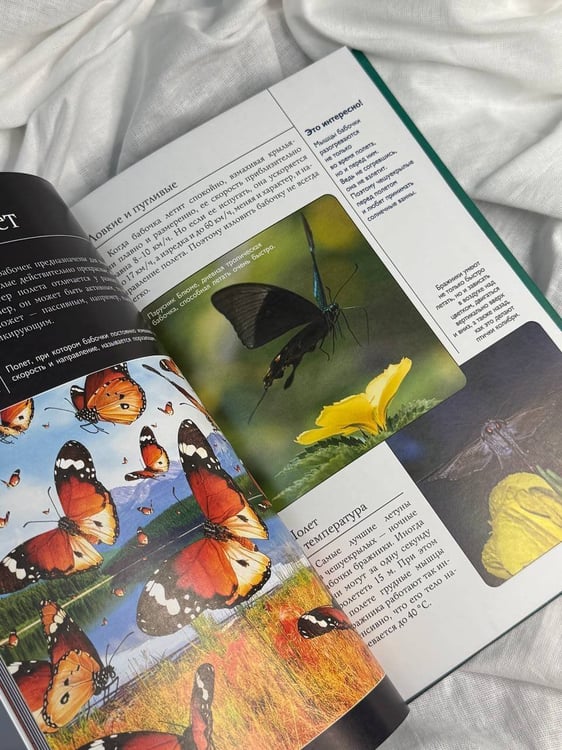 Дополнительное изображение книги «Бабочки. Иллюстрированный гид»