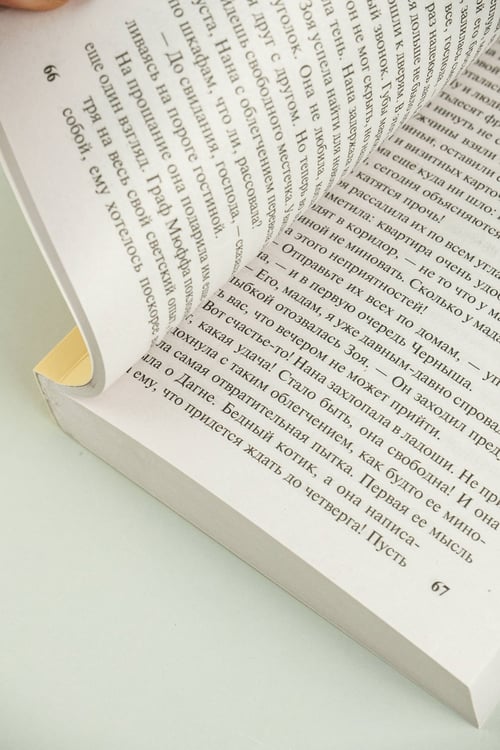 Дополнительное изображение книги «Нана»