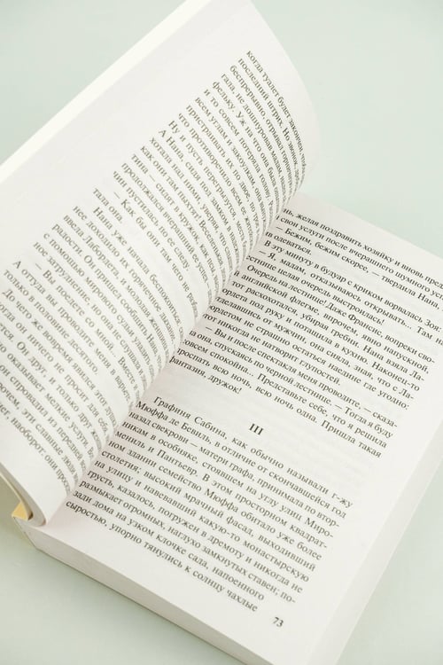 Дополнительное изображение книги «Нана»