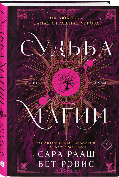Дополнительное изображение книги «Судьба магии»