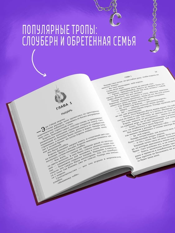 Дополнительное изображение книги «Ученица Злодея»