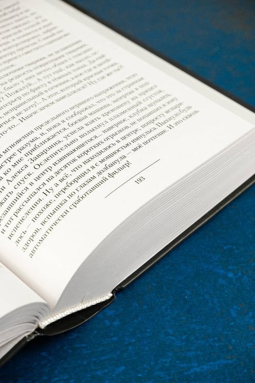 Дополнительное изображение книги «Э(П)РОН»