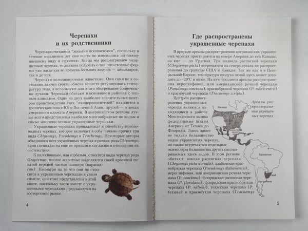 Дополнительное изображение книги «Черепахи»