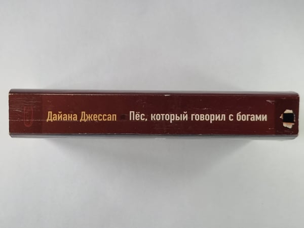 Дополнительное изображение книги «Пёс, который говорил с богами»