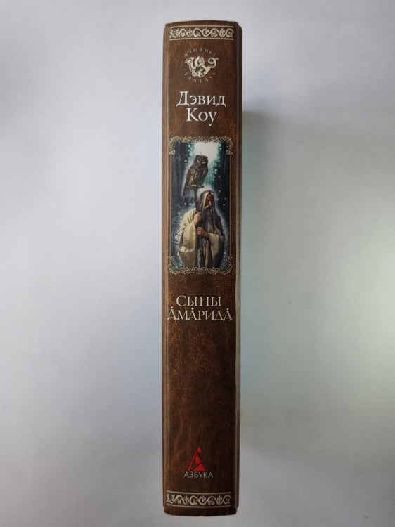 Дополнительное изображение книги «Сыны Амарида»