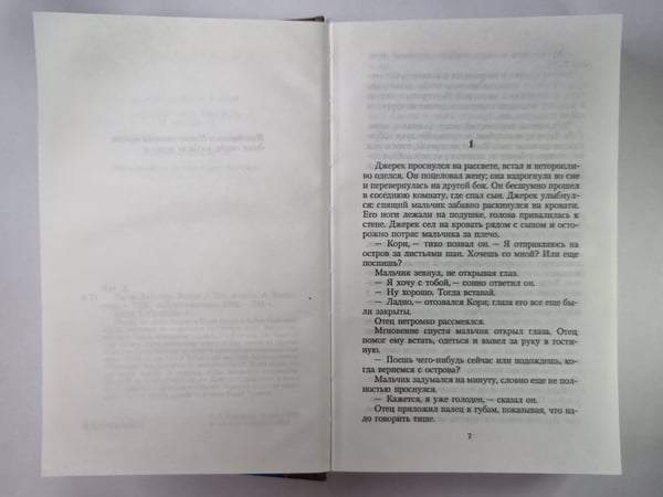 Дополнительное изображение книги «Сыны Амарида»