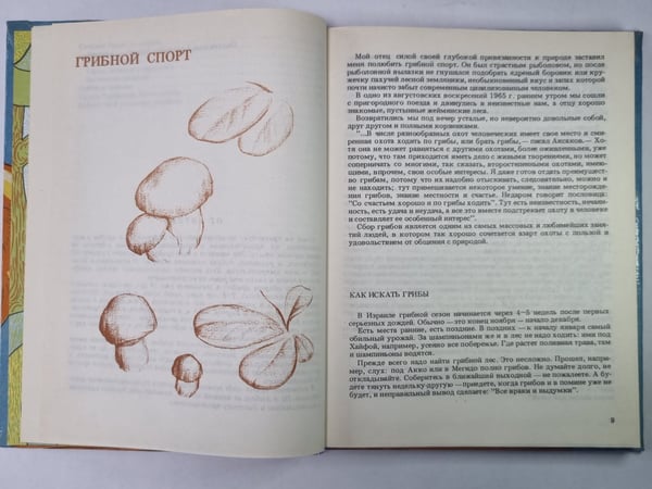 Дополнительное изображение книги «Грибное застолье»