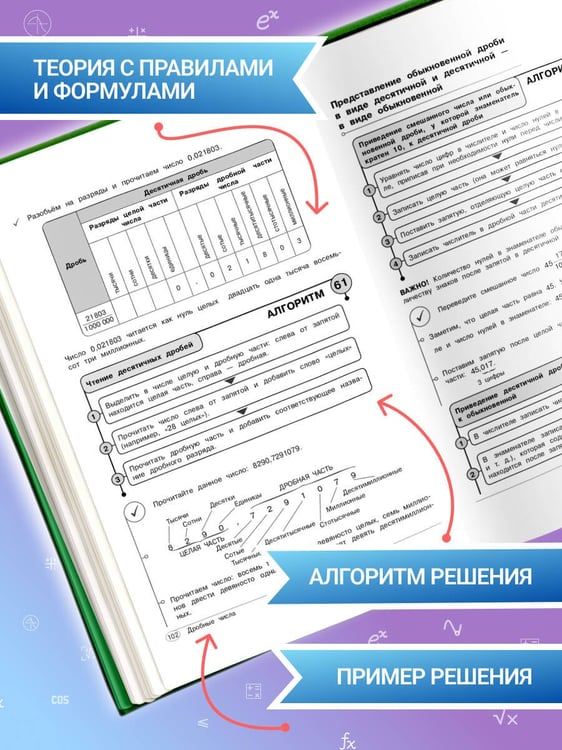 Дополнительное изображение книги «Математика. 5-6 классы»