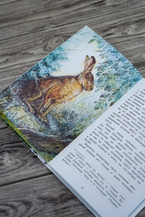 Дополнительное изображение книги «Рассказы о природе»
