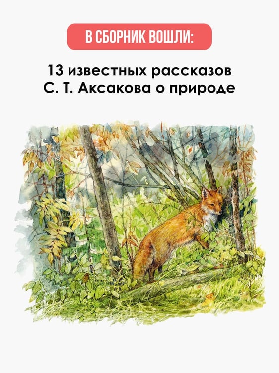 Дополнительное изображение книги «Рассказы о природе»